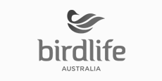 Logo 5